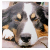 コリ縁どー タイル (正面)