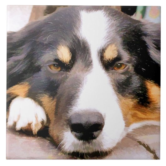 コリ縁どー タイル (正面)