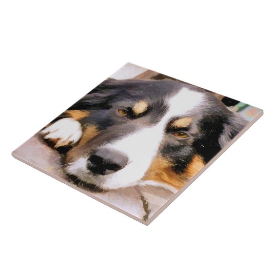 コリ縁どー タイル (側面)