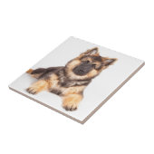 コリ縁どー·ドイツ·シェパード·ミックス タイル (側面)