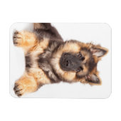 コリ縁どー·ドイツ·シェパード·ミックス マグネット (横)