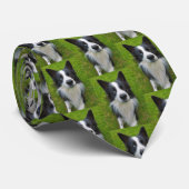 コリ縁どー ネクタイ (ロール)