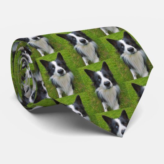 コリ縁どー ネクタイ (ロール)