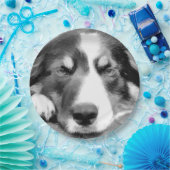 コリ縁どー ペーパープレート (パーティー)