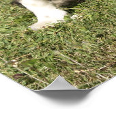 コリ縁どー ポスター (角)