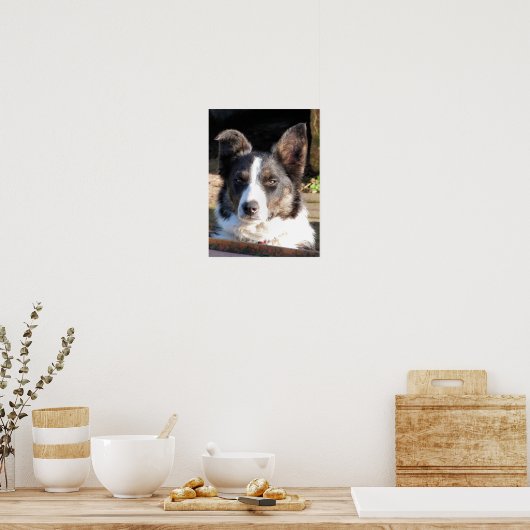 コリ縁どー ポスター (キッチン)