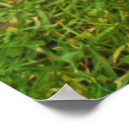 コリ縁どー ポスター (角)