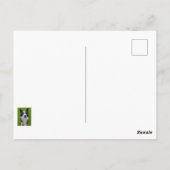 コリ縁どー ポストカード (裏面)