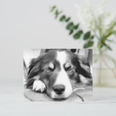 コリ縁どー ポストカード (スタンド正面)