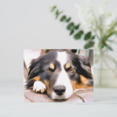 コリ縁どー ポストカード (スタンド正面)