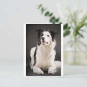 コリ縁どー ポストカード (スタンド正面)