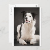 コリ縁どー ポストカード (正面/裏面)