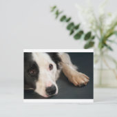 コリ縁どー ポストカード (スタンド正面)