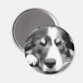 コリ縁どー マグネット (正面/裏面)