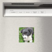 コリ縁どー マグネット (インサイチュ (食洗機))