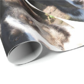 コリ縁どー ラッピングペーパー (ロールコーナー)