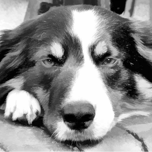 コリ縁どー 名刺