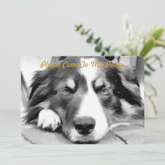 コリ縁どー 招待状 (スタンド正面)