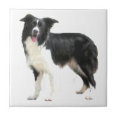 コリ縁どー(立ち) タイル (正面)