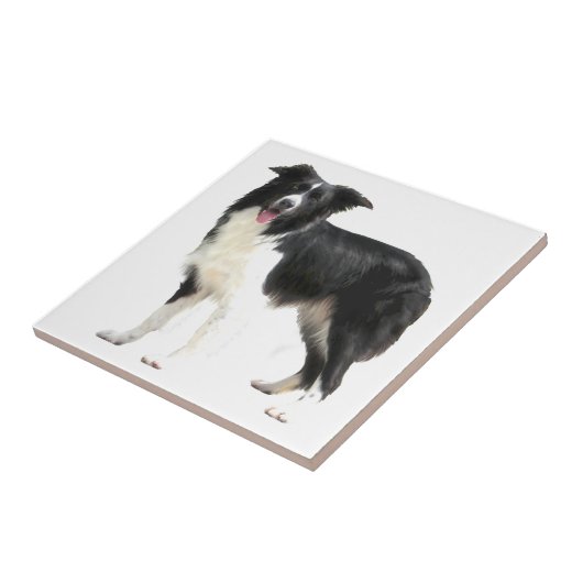 コリ縁どー(立ち) タイル (側面)