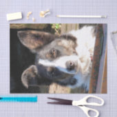 コリ縁どー 薄葉紙 (クラフト)