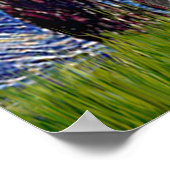 コリ縁どー(Z) – スターリー・ナイト ポスター (角)