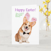 コルおもしろいギイースターカード カード (黄色い花)