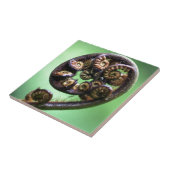 コルを巻き付けないシダ タイル (側面)