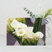 コルカサの花の招待状 招待状 (スタンド正面)