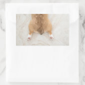 コルギお尻 長方形シール (バッグ)