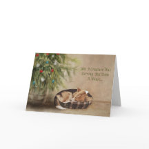 コルギをかき立てている生き物は一人もいなかった