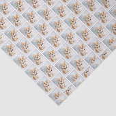 コルギクリスマス 薄葉紙 (詳細)