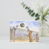 コルギドッグビーチバレーボール ポストカード (スタンド正面)