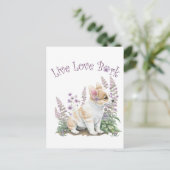 コルギドッグママフローラ ポストカード (スタンド正面)