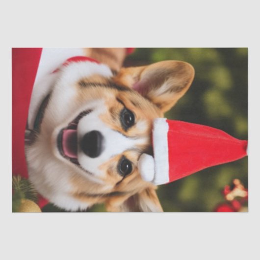 コルギドッグ笑うクリスマスおもしろい 薄葉紙 (正面)