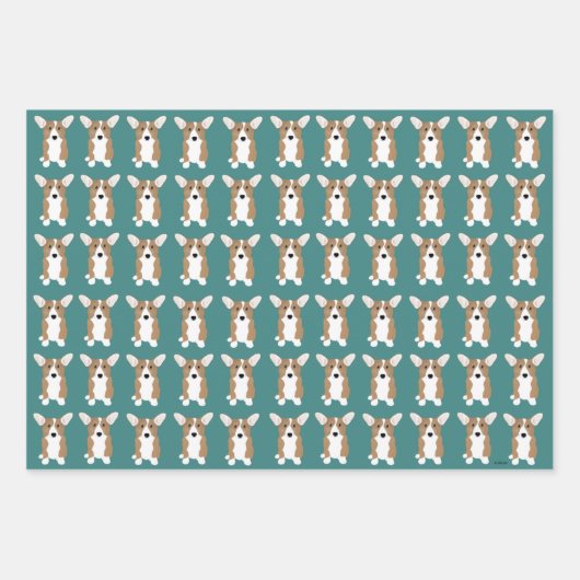 コルギラッピング紙シート ラッピングペーパーシート (正面)