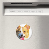 コルギローポリアート マグネット (インサイチュ (食洗機))