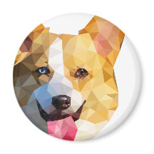 コルギローポリアート