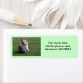 コルギ住所 シール (インサイチュ)