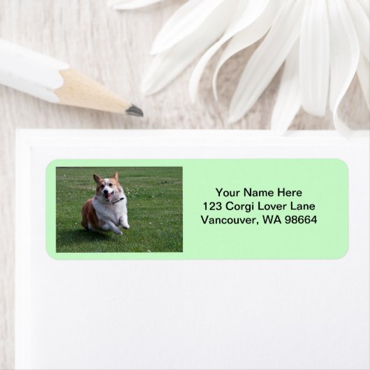 コルギ住所 シール (インサイチュ)