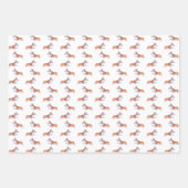 コルギ文様墨水絵画彩 ラッピングペーパーシート (正面)