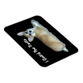 コルギ磁石 マグネット (右側)