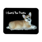 コルギ磁石 マグネット (横)