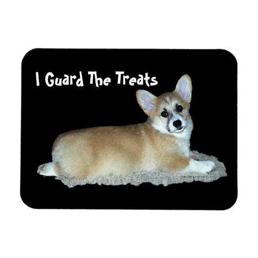 コルギ磁石 マグネット (横)