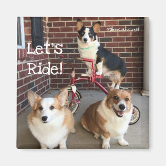 コルギ磁石 マグネット