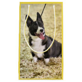 コルギ スモールペーパーバッグ (正面)