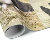 コルギ ラッピングペーパー (ロールコーナー)