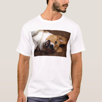 コルギ Tシャツ