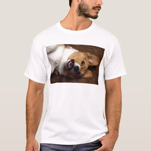 コルギ Tシャツ (正面)