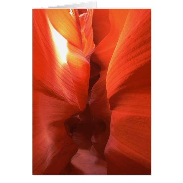 コルクせん抜き渓谷の道カード (正面)